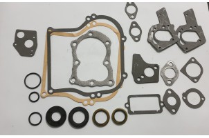 Briggs&Stratton Набір прокладок двигун 495609, 397145, 297615/495603   